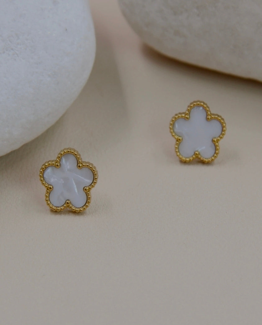 Boucles Stéphanie