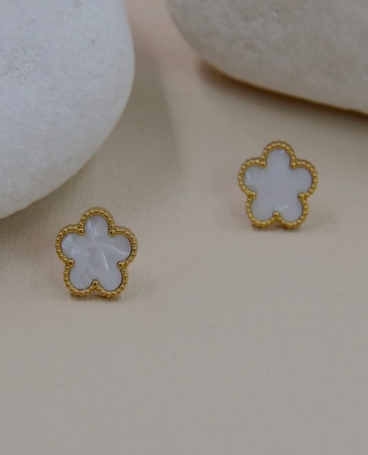 Boucles Stéphanie